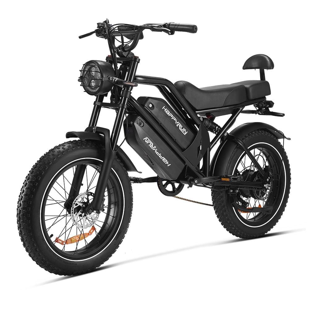 HappyRun G70 Dual Battery Fast Electric Cargo Bike Green